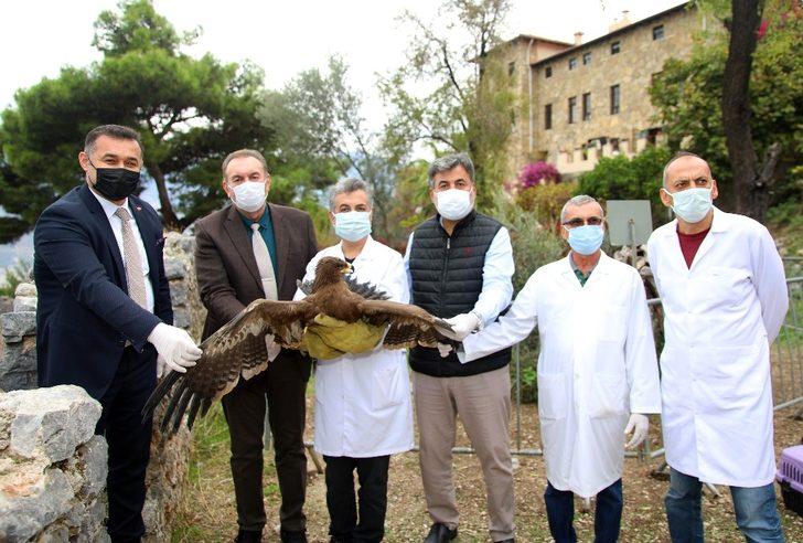 Başkan Yücel, tedavisi tamamlanan kartalı doğaya saldı G4