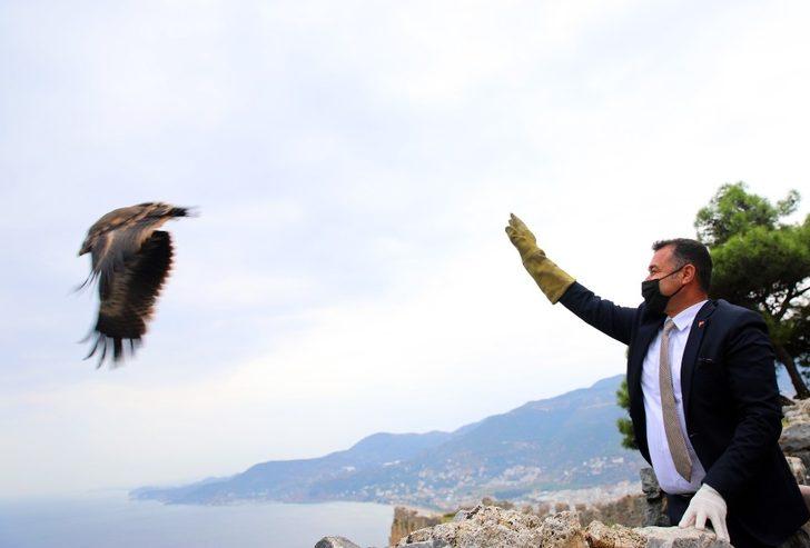 Başkan Yücel, tedavisi tamamlanan kartalı doğaya saldı G5