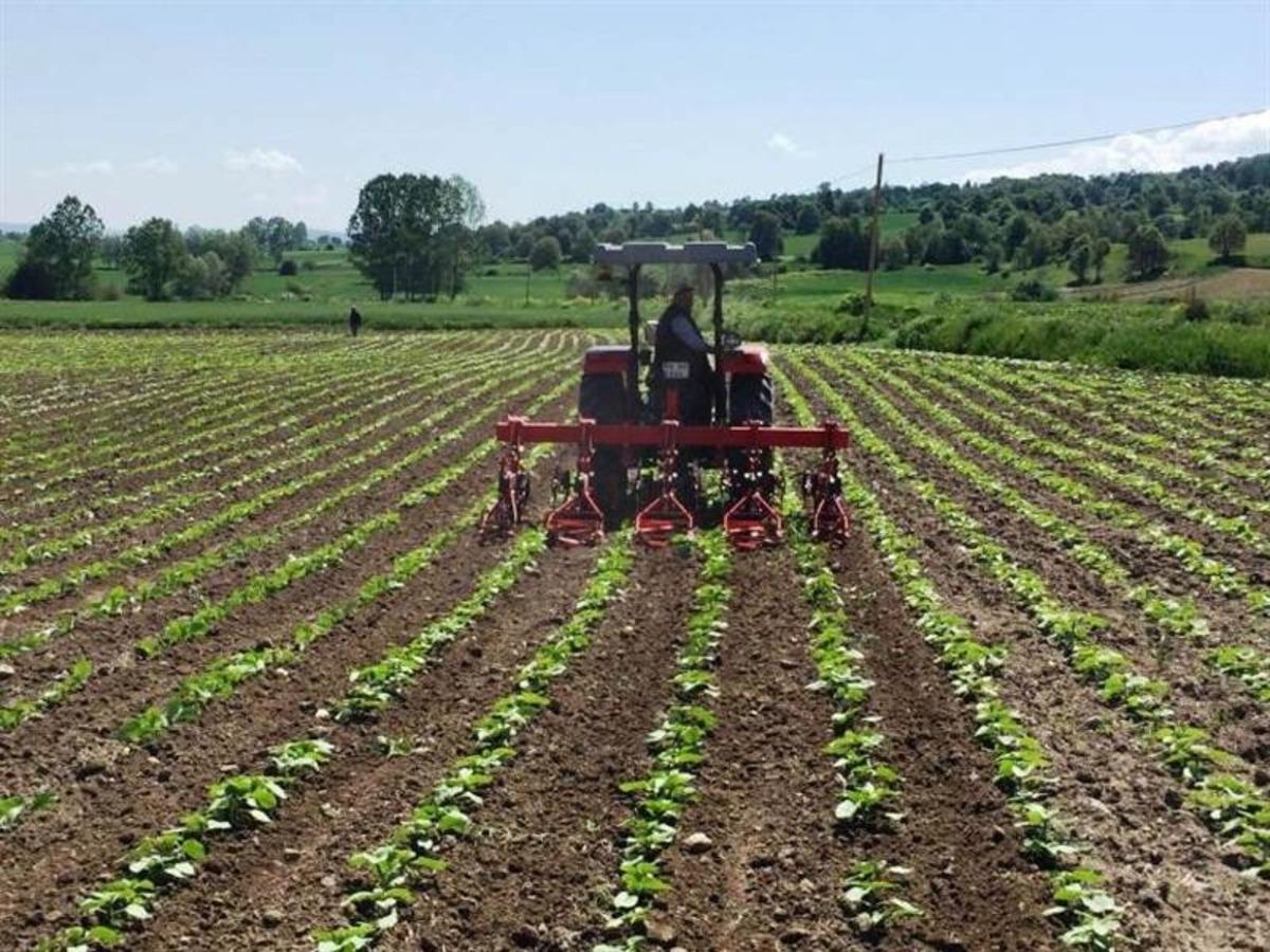 Tarım danışmanı başına 46 bin TL destekleme verilecek