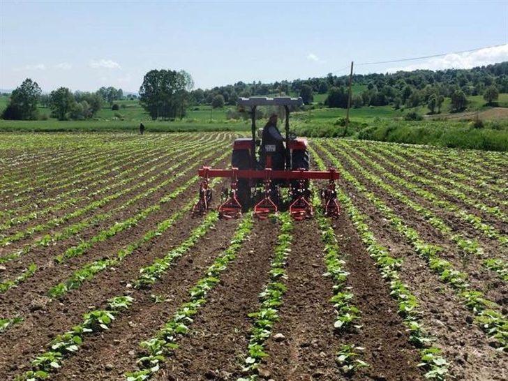 Tarım danışmanı başına 46 bin TL destekleme verilecek G1