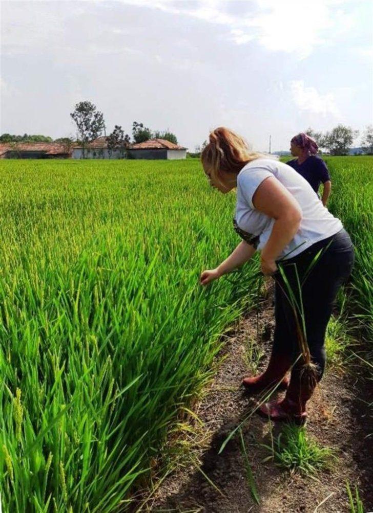 Tarım danışmanı başına 46 bin TL destekleme verilecek G4