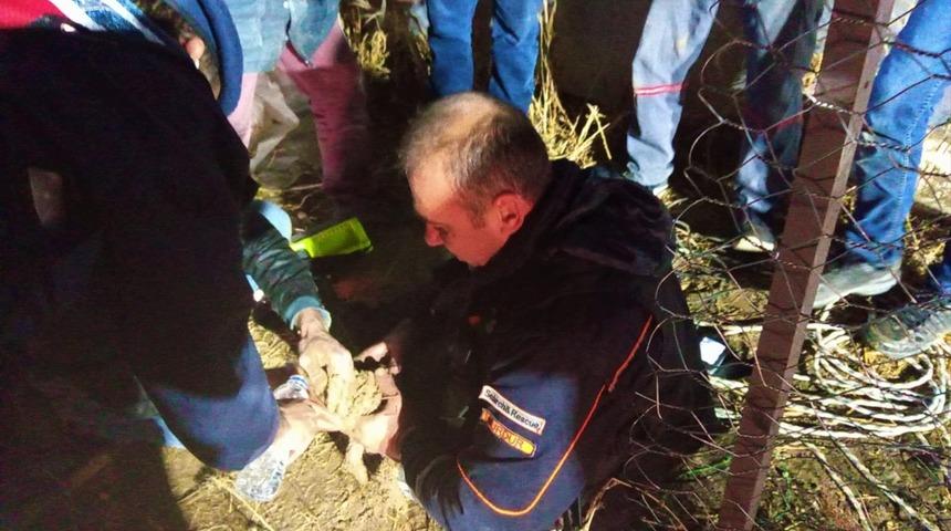 Burdur'da sondaj kuyusuna d&uuml;şen yavru k&ouml;pek kurtarıldı