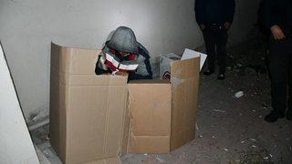 Filistinli kaçak göçmen karton koli içerisinde yatarken yakalandı