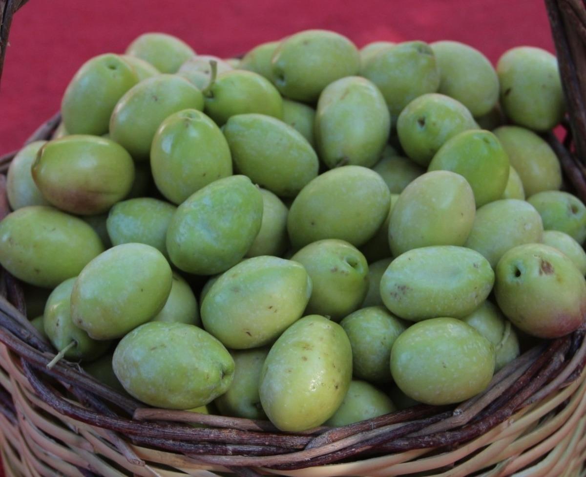 Zeytinyağı fiyatları y&uuml;kselecek