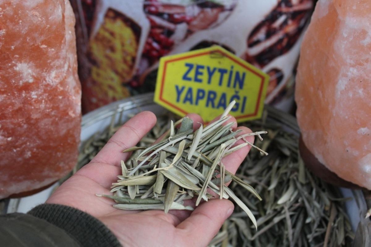 Zeytin yaprağı ve kekik bağışıklık sistemini g&uuml;&ccedil;lendiriyor