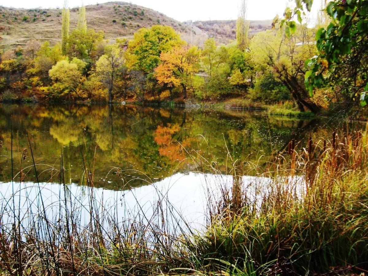 Başarılı Muhtar k&ouml;y&uuml;nde ilkleri başarıyor