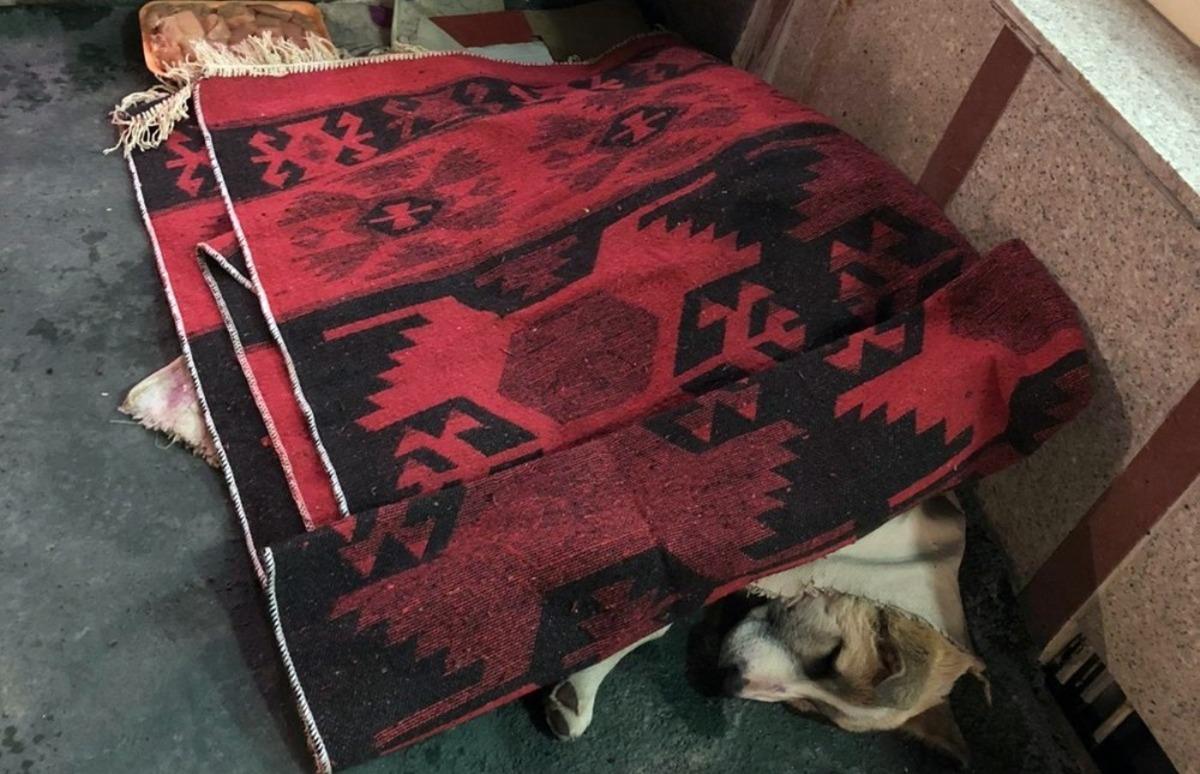 Y&uuml;ksekova&rsquo;da y&uuml;rekleri ısıtan g&ouml;r&uuml;nt&uuml;