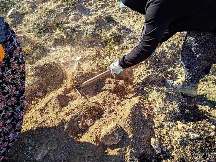 Balkonunda yetiştirip bağışladığı fidanlar toprakla buluşturuldu G4