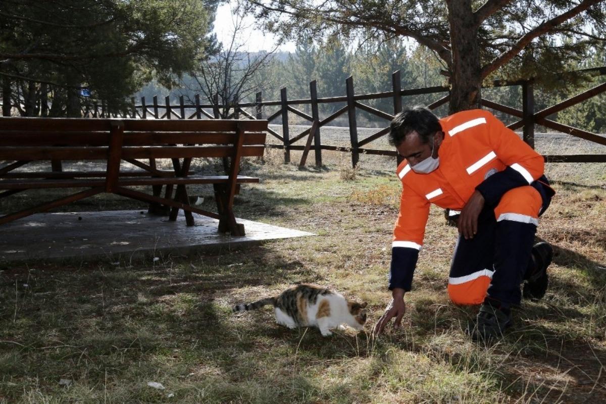 Kısıtlamada sokak hayvanları unutulmadı