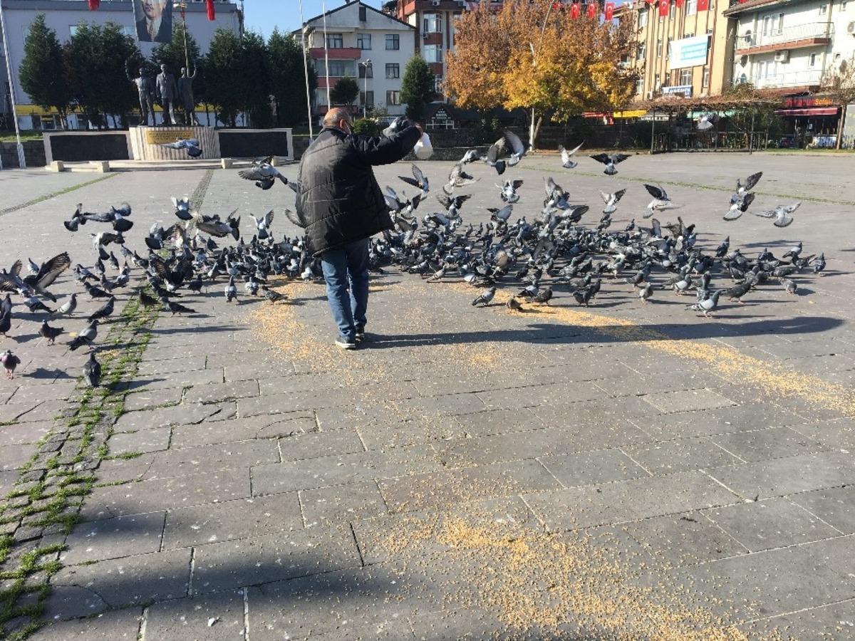 Kısıtlamada sokak hayvanları unutulmadı