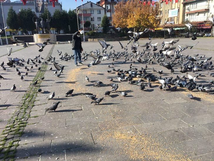 Kısıtlamada sokak hayvanları unutulmadı G2