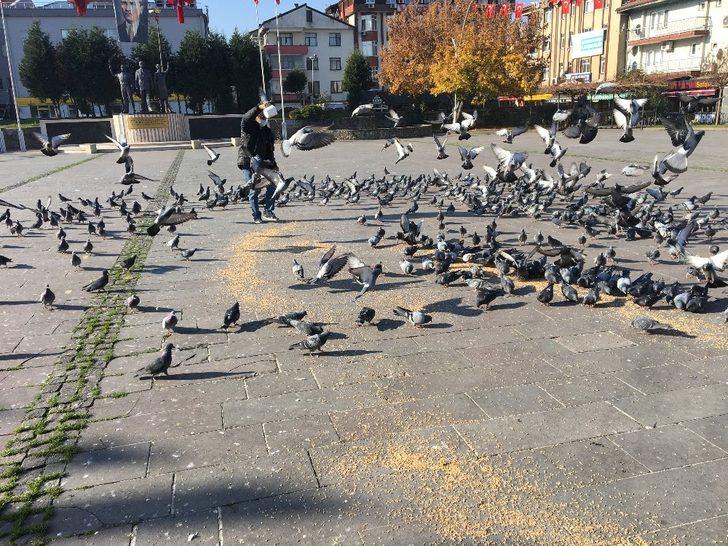 Kısıtlamada sokak hayvanları unutulmadı G3