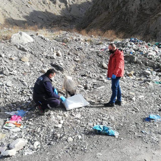 Sokağa çıkma yasağında da can dostlar unutulmadı