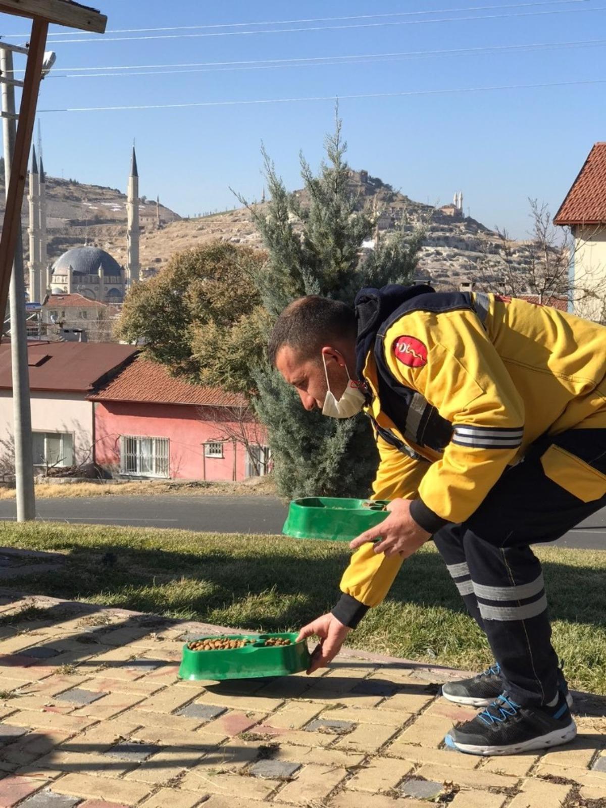 Sokağa &ccedil;ıkma yasağında sokak hayvanları unutulmadı