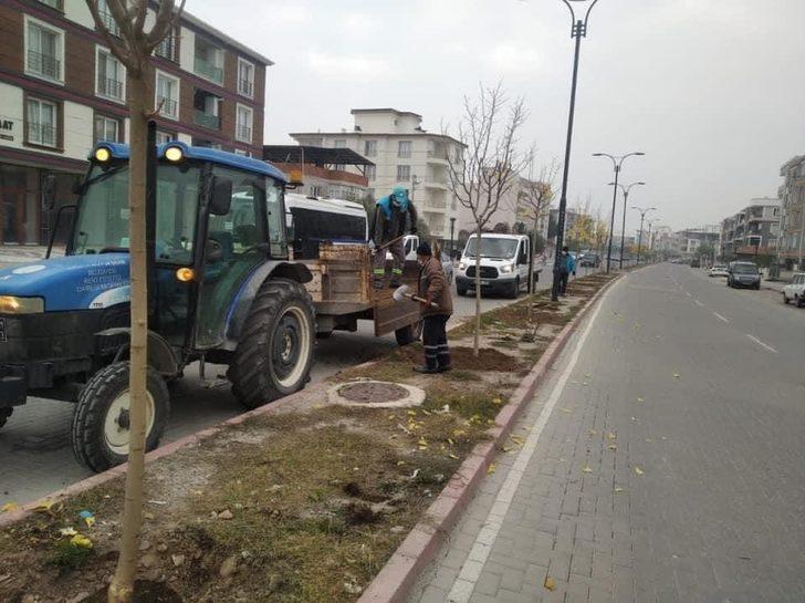 Akhisar Ring Yolu ağaçlandırılıyor G2