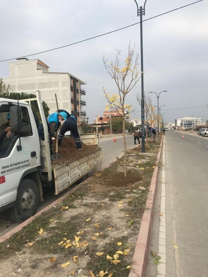 Akhisar Ring Yolu ağaçlandırılıyor G3