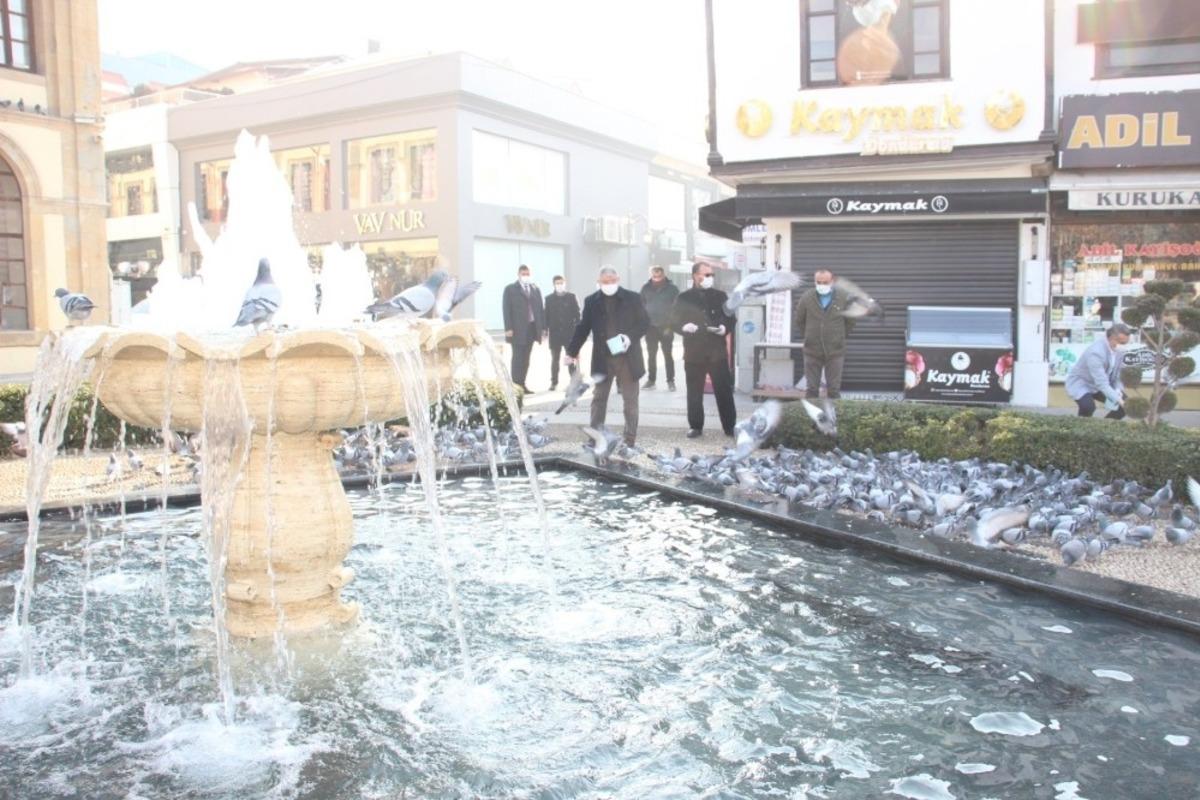 &Ccedil;orum&rsquo;da sokak hayvanları unutulmadı