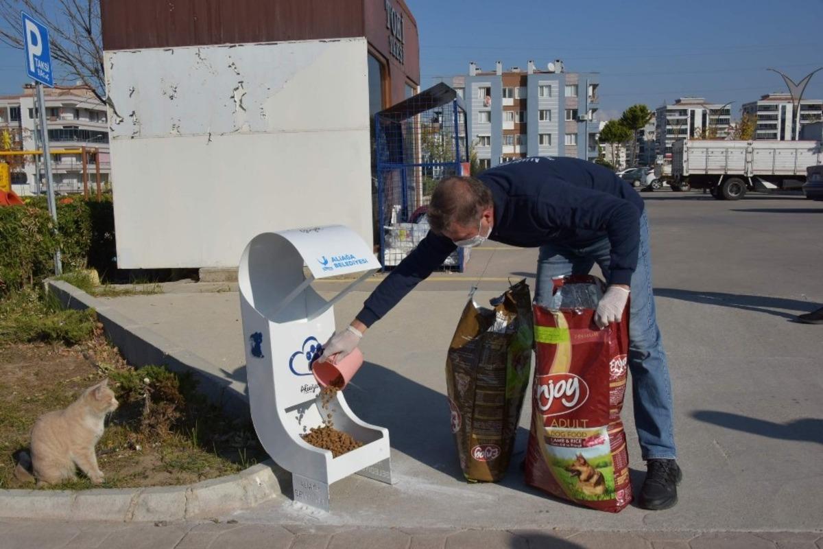 Sevimli dostlara mama desteği
