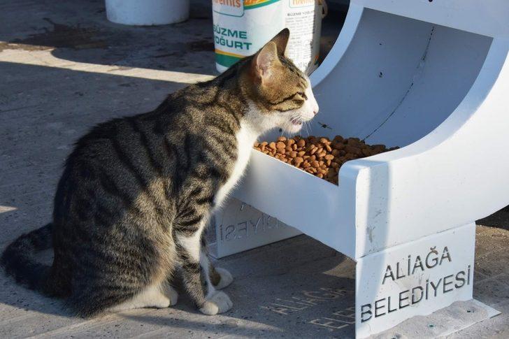 Sevimli dostlara mama desteği G3