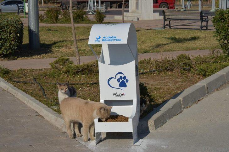 Sevimli dostlara mama desteği G4