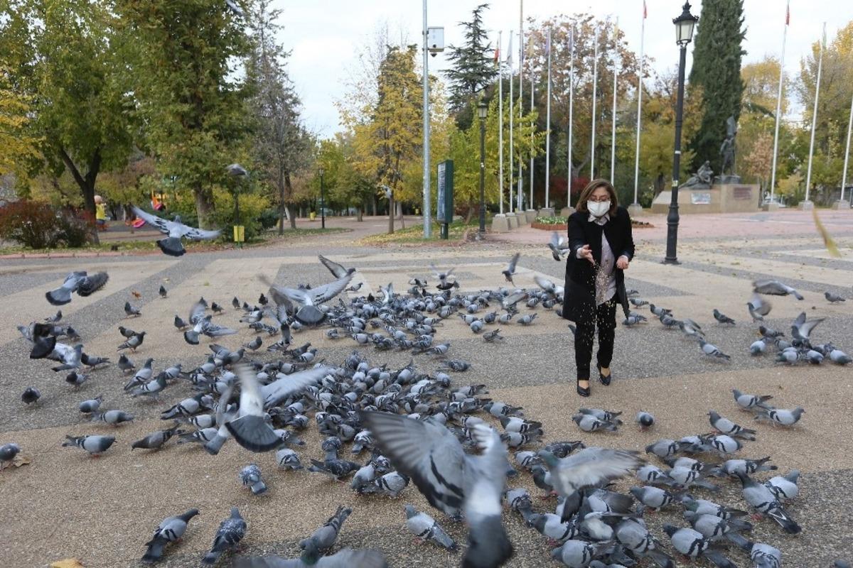 Fatma şahin sokaktaki hayvanları besledi