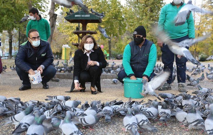 Fatma şahin sokaktaki hayvanları besledi G3