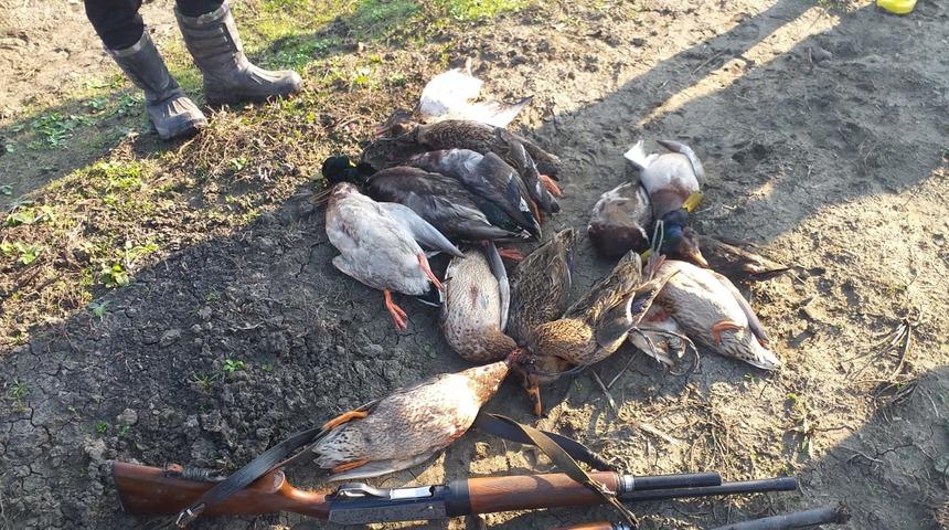 Kuş cennetinde kaçak ördek avlayan coğrafya öğretmeni yakalandı