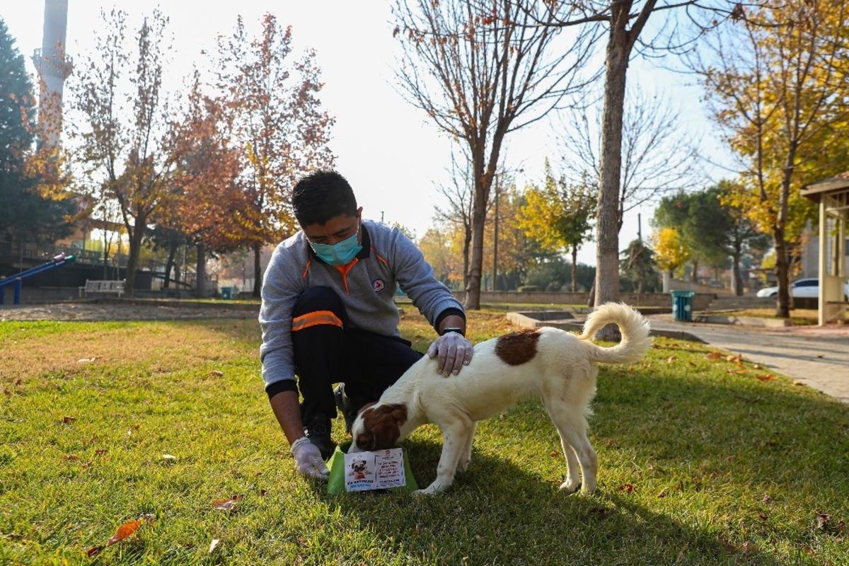 Denizli B&uuml;y&uuml;kşehir Belediyesi can dostlarını unutmadı