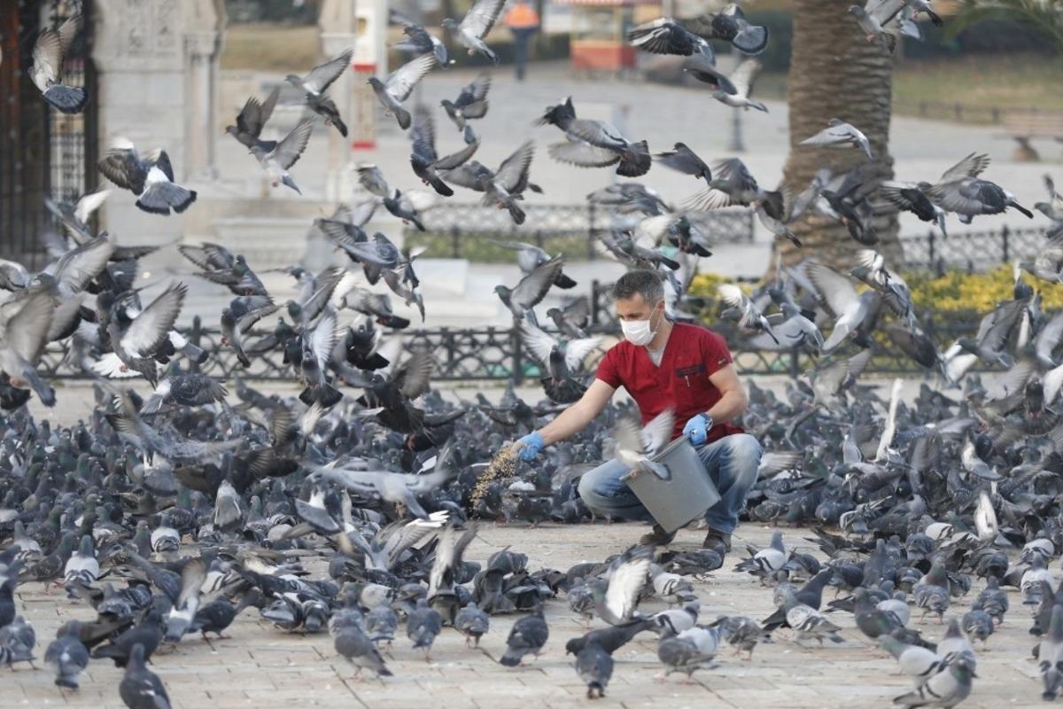 Konak evde, belediye g&ouml;revde