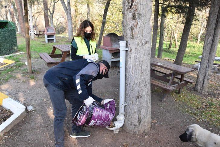 Balıkesir Büyükşehir Belediyesi’nden sokak hayvanlarına mama G1
