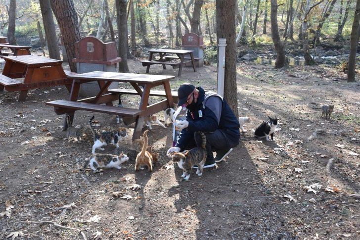 Balıkesir Büyükşehir Belediyesi’nden sokak hayvanlarına mama G2