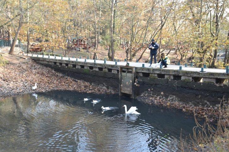Balıkesir Büyükşehir Belediyesi’nden sokak hayvanlarına mama G4