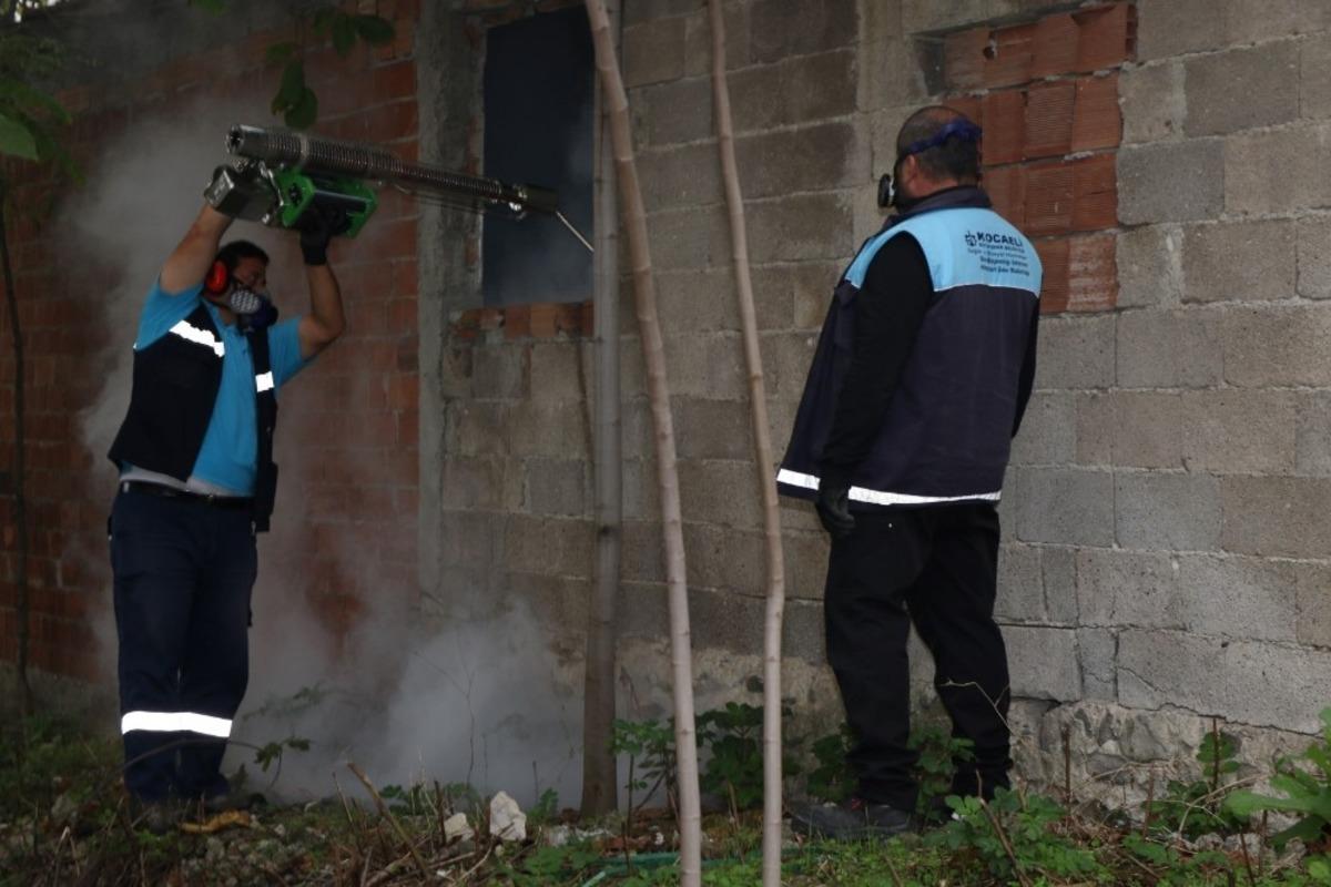 Kocaeli&rsquo;de sivrisineklerle kışlık m&uuml;cadele başladı
