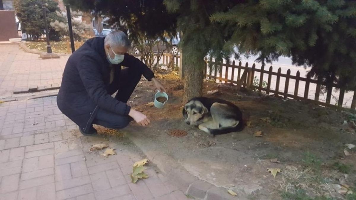 Kısıtlamada sokak hayvanları unutulmadı