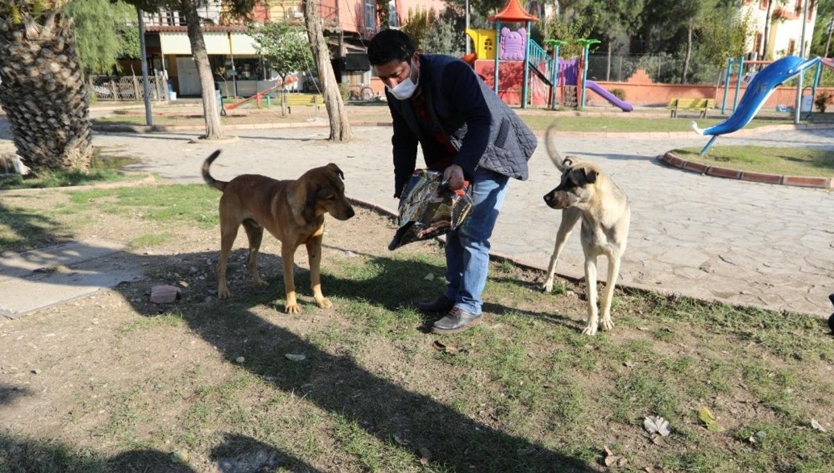 Y&uuml;reğir&rsquo;de sokak hayvanları unutulmadı