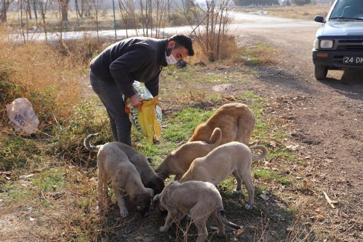 Kısıtlama da sokak hayvanları unutulmadı