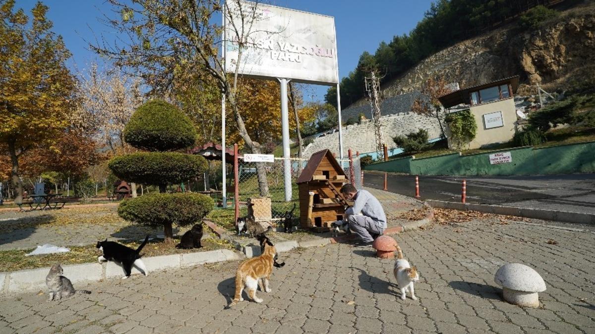 Kısıtlamada sokak hayvanlarına mama desteği