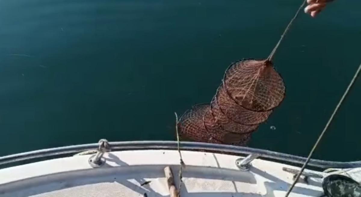 Eğirdir G&ouml;l&uuml;&rsquo;nde ka&ccedil;ak avcıların &lsquo;ağ kozası&rsquo; oyunu