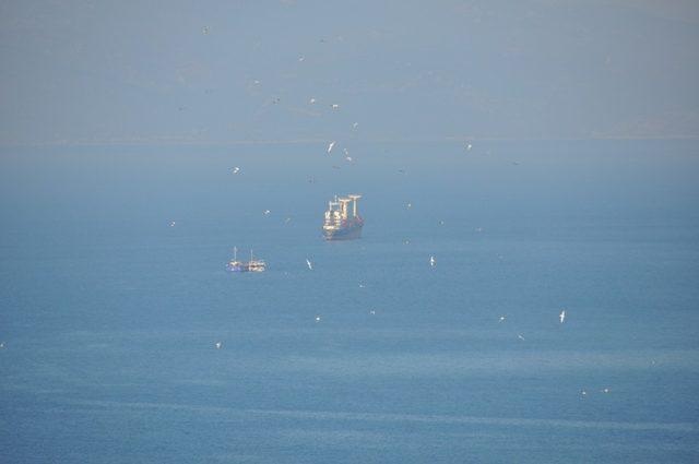 Kuşadası Körfezi’nde iki kuru yük gemisi çarpıştı