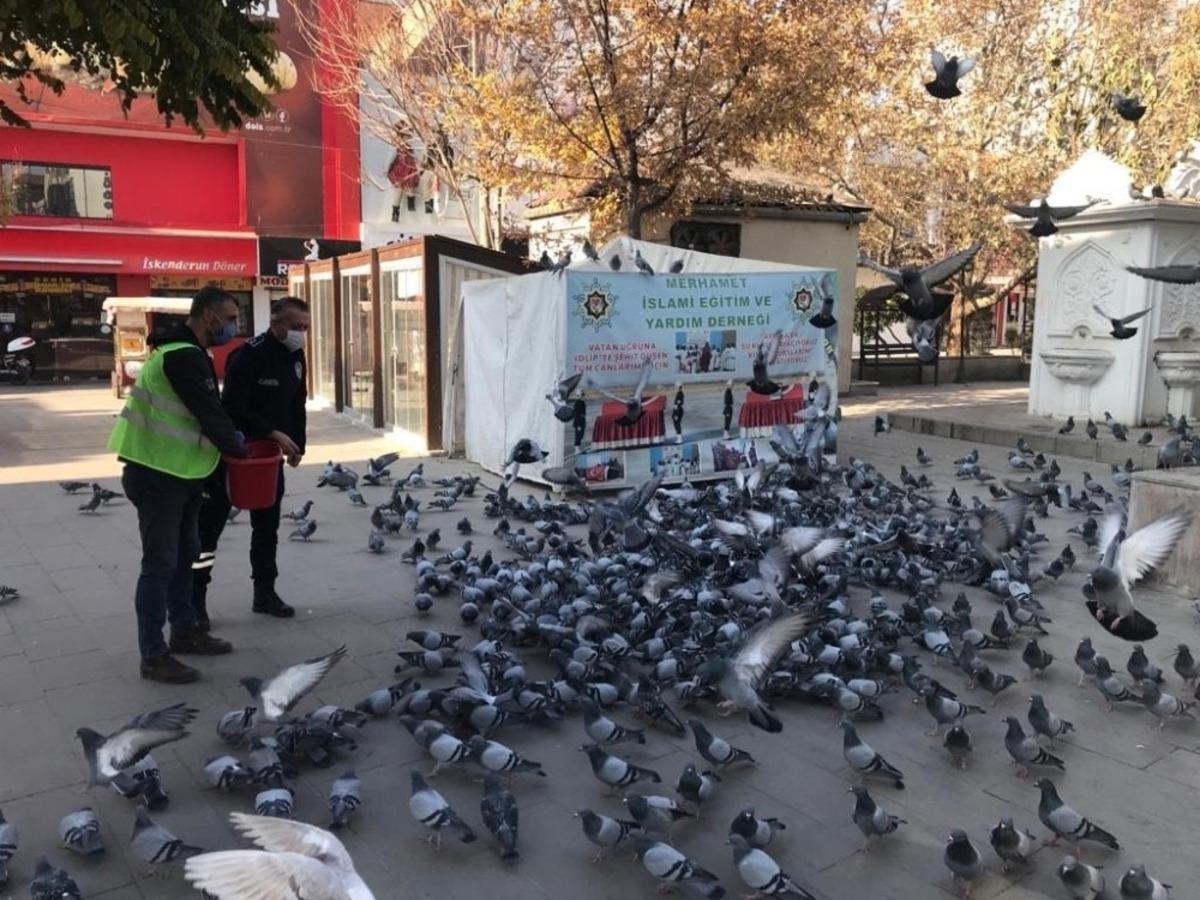 Kırıkkale&rsquo;de sokak hayvanlarına şefkat eli