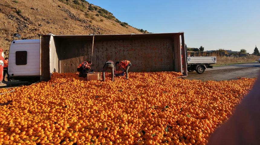 Kamyon devrildi, 15 ton mandalina yola saçıldı