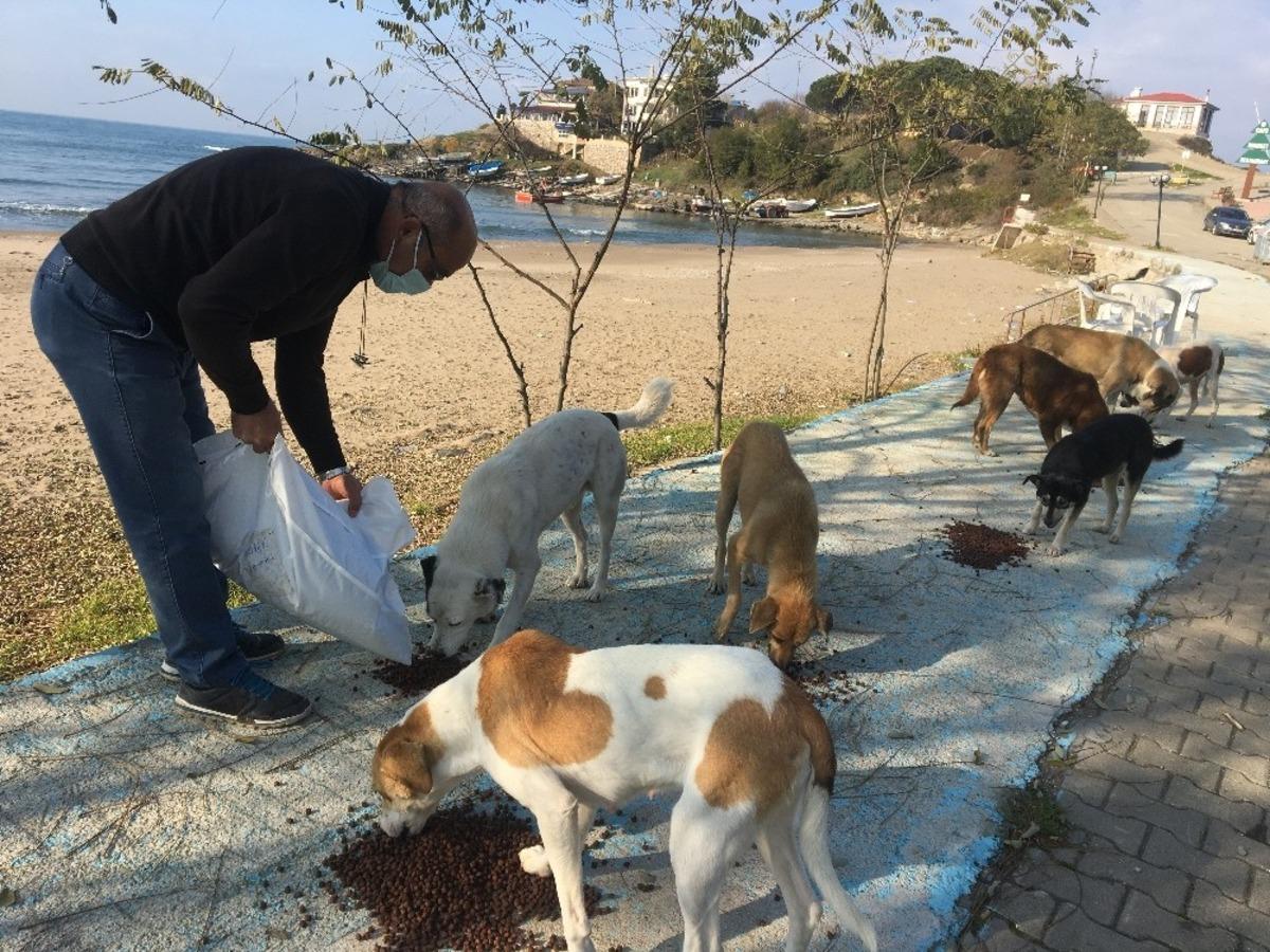 Kısıtlamada yiyecek bulamayan hayvanlar i&ccedil;in seferber olundu