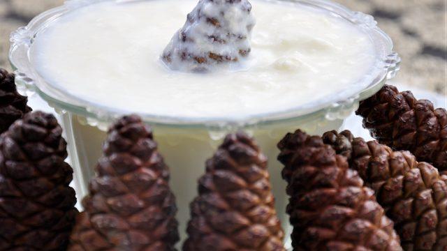 Taş gibi yoğurt mayalamak için: Çam kozalağı ile yoğurt nasıl mayalanır?