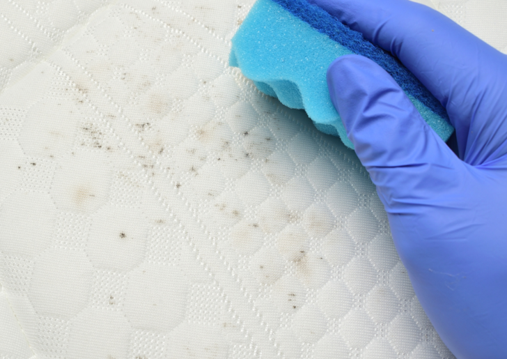 K&uuml;f&uuml;n nedeni buymuş! Yatak odasını temizlerken...