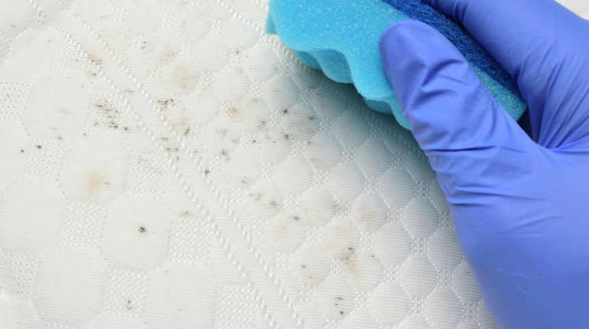 K&uuml;f&uuml;n nedeni buymuş! Yatak odasını temizlerken...