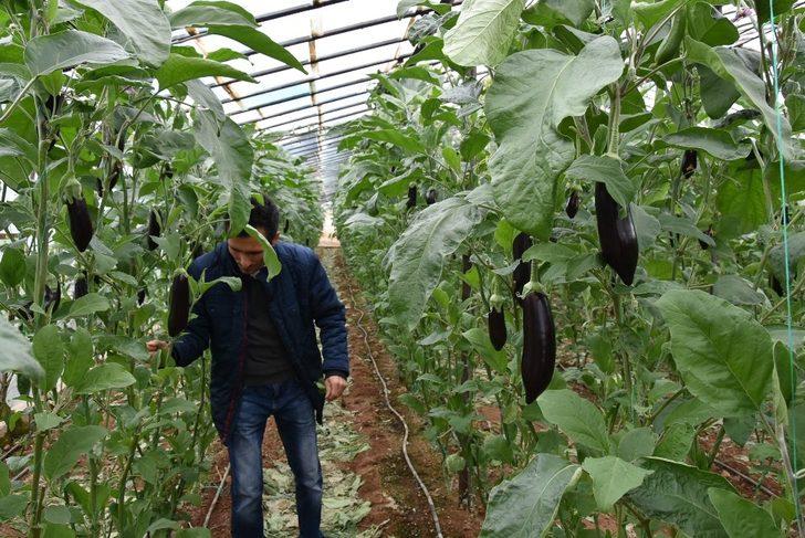 Meyve ve sebze deposu Mersin, 9 üründe Türkiye birincisi G5