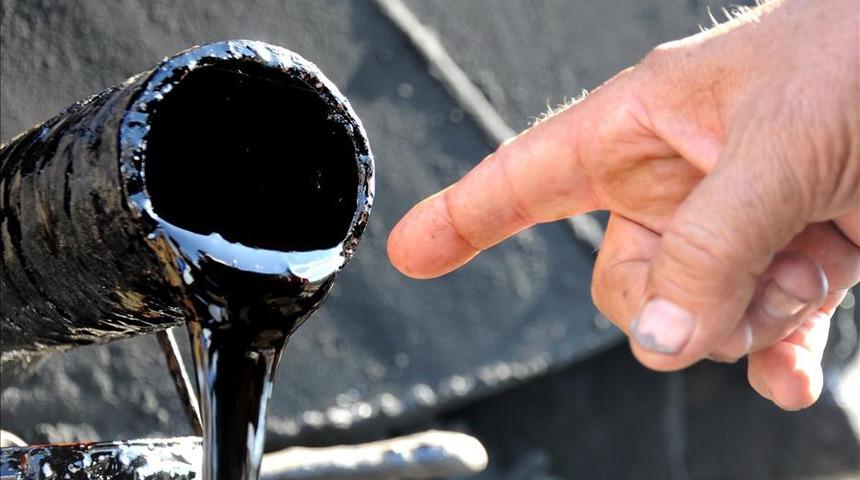 Katran nedir? Katran türleri neler?