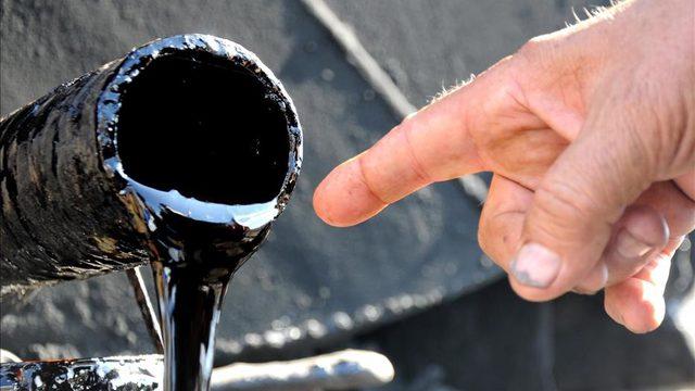 Katran nedir? Katran türleri neler?