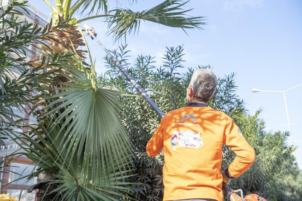 B&uuml;y&uuml;kşehir Belediyesi ekipleri, sokağa &ccedil;ıkma yasağında da &ccedil;alıştı