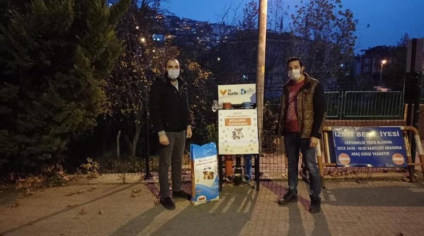 Kısıtlamasında sokak hayvanları unutulmadı